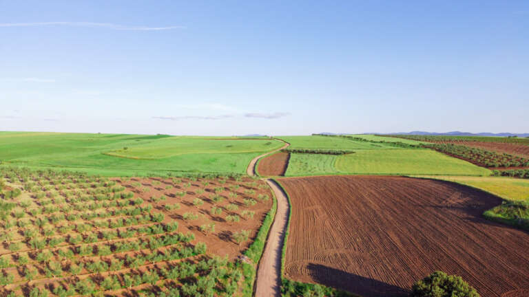 Régularisation de la construction d’une remise en zone agricole