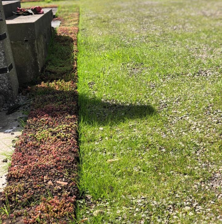 Avis aux citoyens – Cimetière de Rhisnes