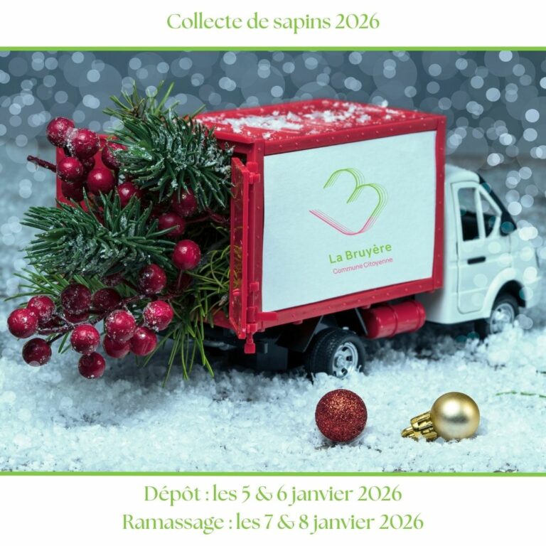 Collecte des sapins de Noël