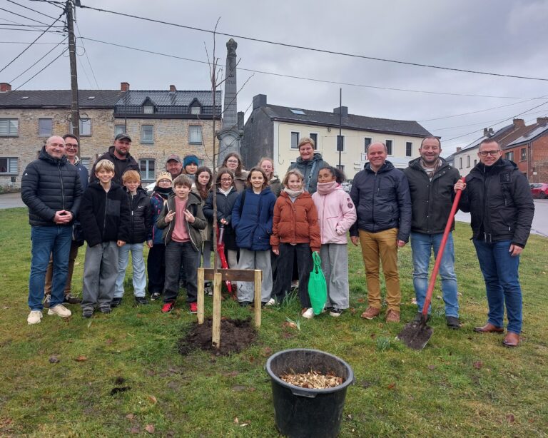 Quand un tilleul prend le relais de la mémoire à Rhisnes