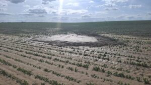 AVIS AUX AGRICULTEURS exploitant des parcelles sur le territoire de La Bruyère – Intempéries des 30/31 mai et des 26/27 juin 2026