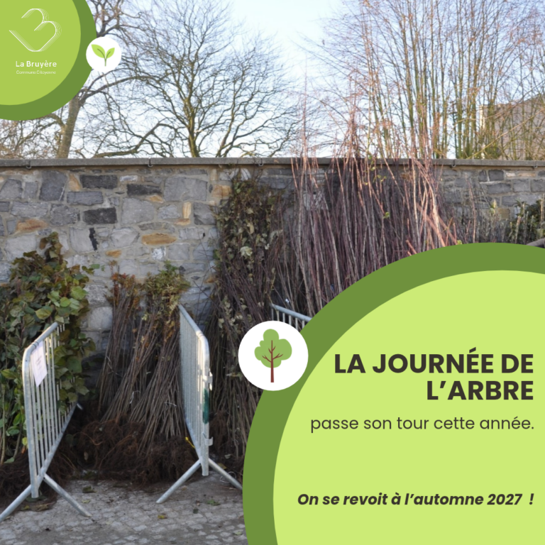 La Journée de l’Arbre fait une pause en 2026