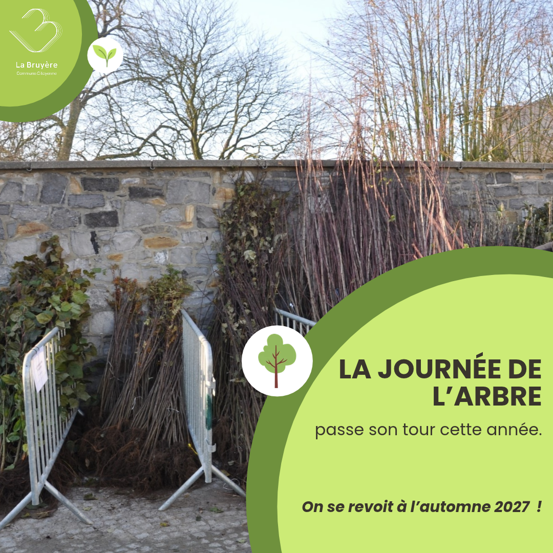 La Journée de l’Arbre fait une pause en 2026